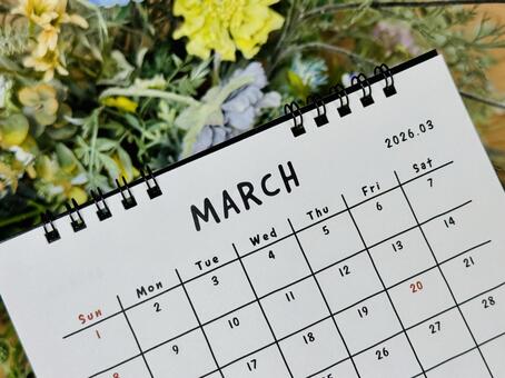 3月カレンダー 3月,カレンダー,スケジュールの写真素材