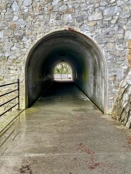 浄土ヶ浜　トンネル 浄土ヶ浜,トンネル,海の写真素材