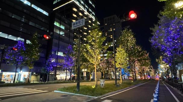 大阪御堂筋のイルミネーション 大阪御堂筋のイルミネーション イルミネーション,キラキラ,ライトアップの写真素材