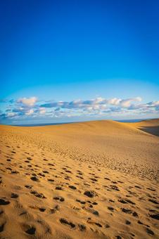 鳥取県　鳥取砂丘の風景 鳥取砂丘,日本の風景,自然の写真素材