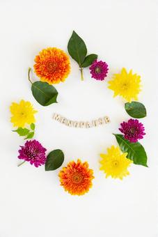 「MENOPAUSE」の文字と丸く並んだ花 生理,月経,menopauseの写真素材