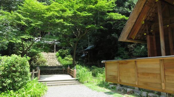 日向大神宮　内宮への参道 日向大神宮,神社,神社仏閣の写真素材
