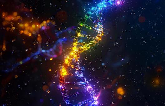 科学研究イメージのDNA図 科学研究イメージのDNA図の写真