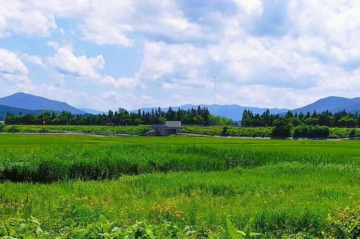 2025年7月の里山25 2025年7月の里山25 高速道路,ボックスカルバート,トンネルの写真素材