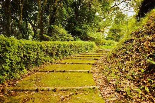 伊藤博文公記念公園の秋の坂道 伊藤博文公記念公園の秋の坂道 伊藤博文公記念公園,秋,坂道の写真素材