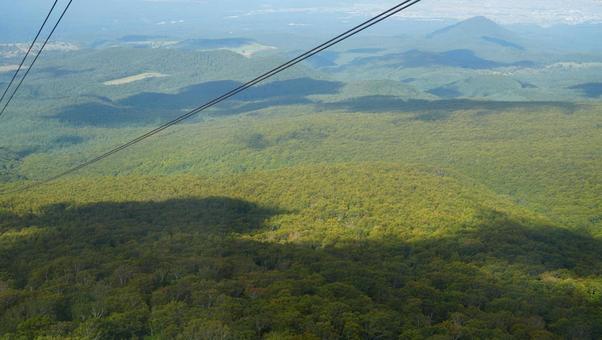 ロープウェイから眺める山肌 ロープウェイから眺める山肌の写真