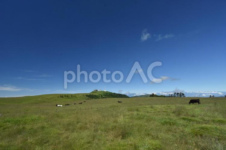 美ヶ原高原　青い空と白い雲 風景,自然,空の写真素材