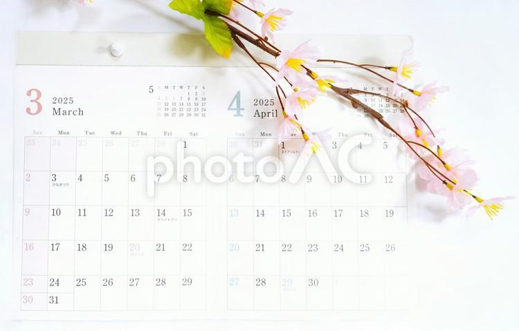 春のカレンダーと桜③ カレンダー,３月,４月の写真素材