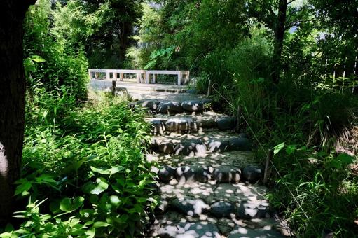 向島百花園 向島百花園の写真