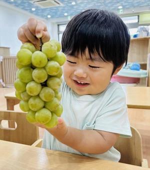 赤ちゃん ぶどう 赤ちゃん ぶどう 人,人物,ベビーの写真素材