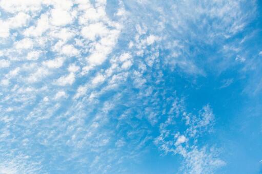 初秋の青空 初秋の青空の写真