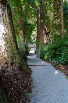 奈良 高天彦神社 参道 奈良 高天彦神社 参道 高天彦神社,高天彦,神社の写真素材