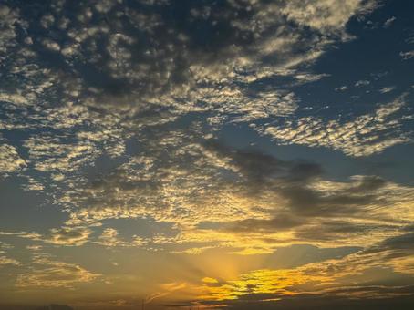 夕方のうろこ雲 空,自然,風景の写真素材