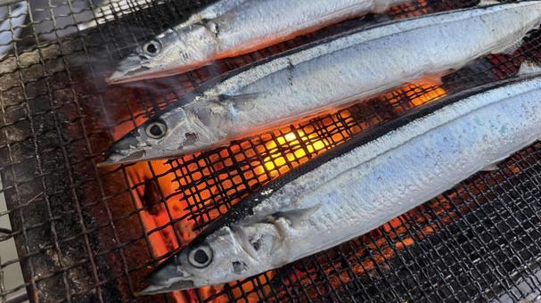 秋刀魚(さんま)を炭火で網焼き 秋刀魚(さんま)を炭火で網焼き さんま,サンマ,秋刀魚の写真素材