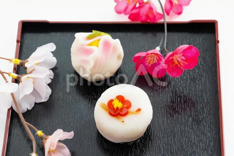 美しい和菓子　ボタンと梅の花の上生菓子 和菓子,花,和スイーツの写真素材