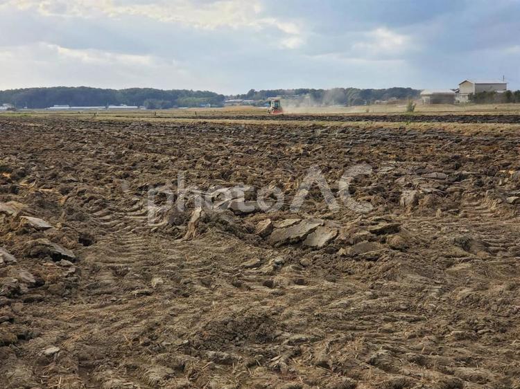 トラクター跡が残る農地 畑,田舎,農地の写真素材