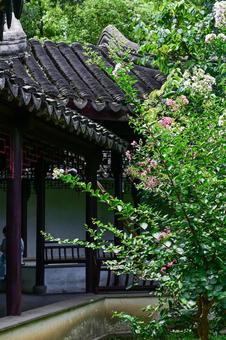蘇州・留園 蘇州・留園の写真
