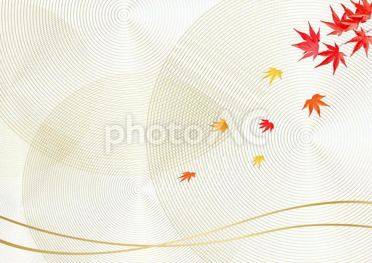 秋の紅葉と金の曲線と金の波紋イメージ 和紙,金,ラインの写真素材