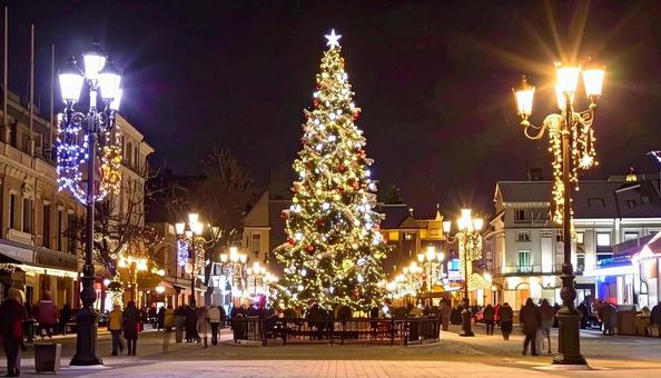 街中のクリスマスツリー　イルミネーションの写真