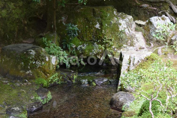 小川の風景 川,小川,日本庭園の写真素材