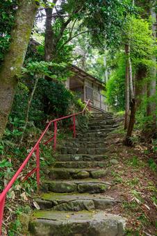 国分一宮諏訪神社(22) 国分一宮諏訪神社(22)の写真