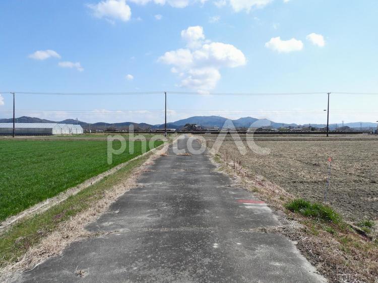 田舎の風景 田舎,あぜ道,西尾市の写真素材