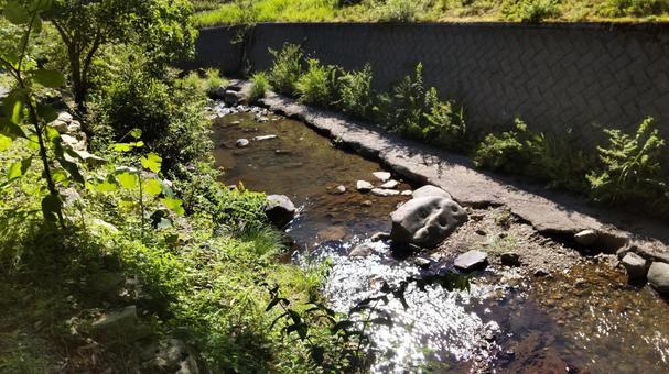 緑と小川のきらめき 緑と小川のきらめき 小川,川,渓流の写真素材