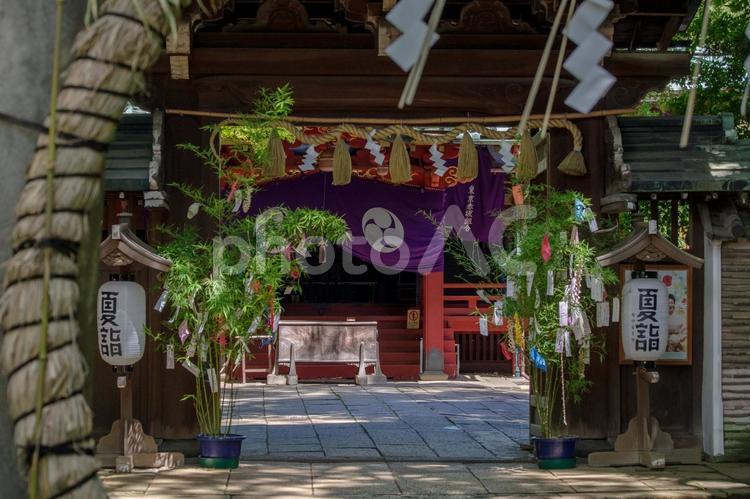 東京赤坂にある氷川神社の7月はじめ 七夕,境内,夏詣の写真素材