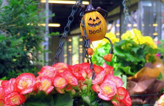 ハロウィン素材/小物飾り・しまね花の郷 ハロウィン素材/小物飾り・しまね花の郷 ハロウィン,小物,飾りの写真素材