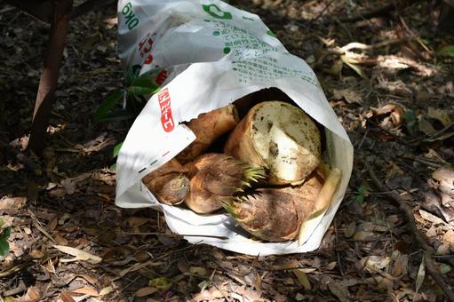 照片, 自然, 食品, 