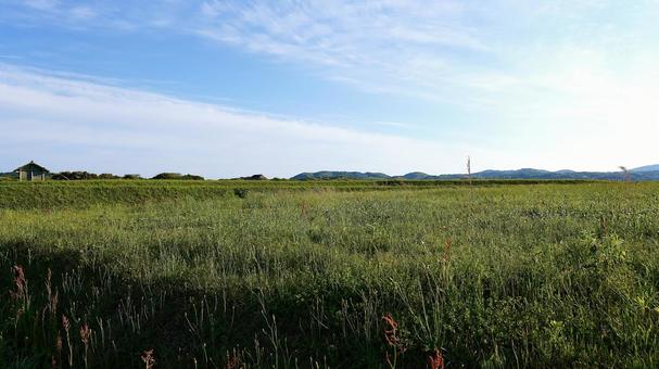 復元された弥生時代の原の辻遺跡の原っぱ 復元された弥生時代の原の辻遺跡の原っぱ 原の辻遺跡,草,原っぱの写真素材