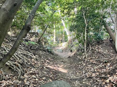 Tobosan Mountain Trail 4, JPG