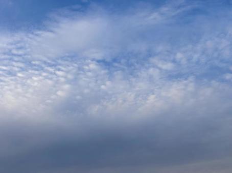 【空の写真】秋の空 秋空,空,雲の写真素材