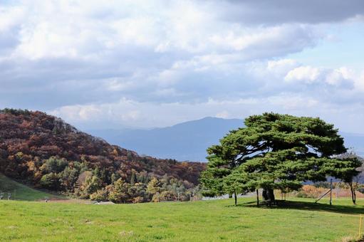 秋の天童高原 天童高原,風景,自然の写真素材
