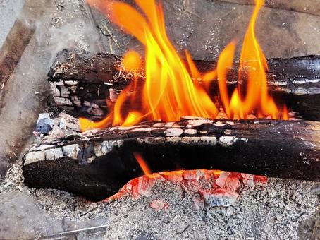 焚き火で燃え上がる炎と薪 炎,火,火災の写真素材