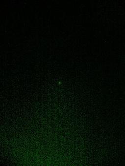 森の中で静かに輝く星 ビリジアン調 森の中で静かに輝く星 ビリジアン調の写真