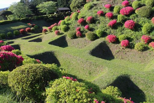 山中城1 山中城,城址,障子堀の写真素材