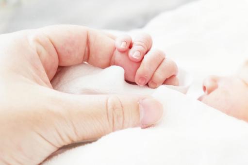 新生児の手-5 新生児の手-5 赤ちゃん,新生児,ベビーの写真素材