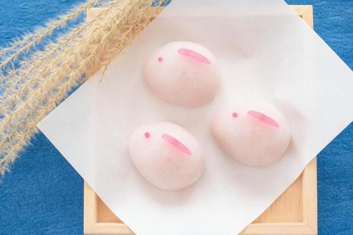 Rabbit buns and moon viewing image, JPG