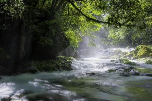 熊本-【菊池渓谷の光芒】 熊本-【菊池渓谷の光芒】 熊本,菊池渓谷,川の写真素材