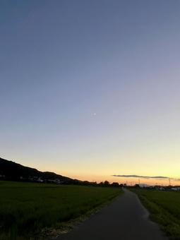 Summer Dusk, JPG