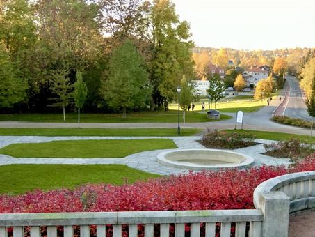 ノルウェー ヴィーゲラン彫刻公園6 ノルウェー ヴィーゲラン彫刻公園6の写真