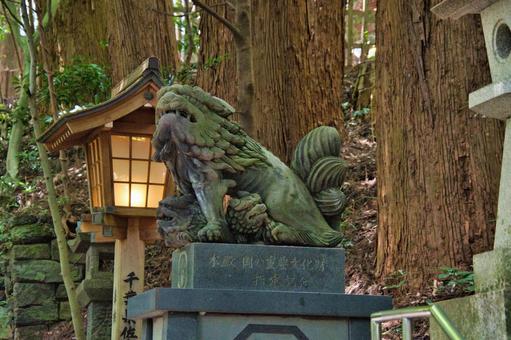 高千穂神社の狛犬 宮崎県 高千穂 高千穂神社の狛犬 宮崎県 高千穂の写真