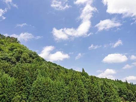 Photo, blue sky, cloud, summer, 