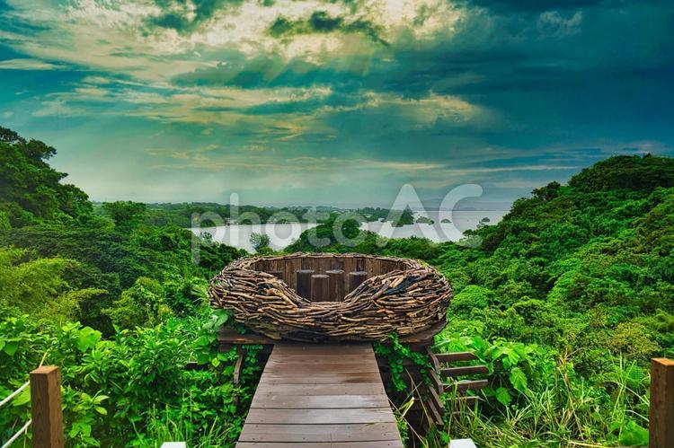 沖縄北部の風景 沖縄,北部,森の写真素材