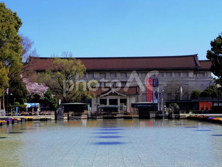 上野公園の噴水と東京国立博物館 博物館,東京国立博物館,上野の写真素材