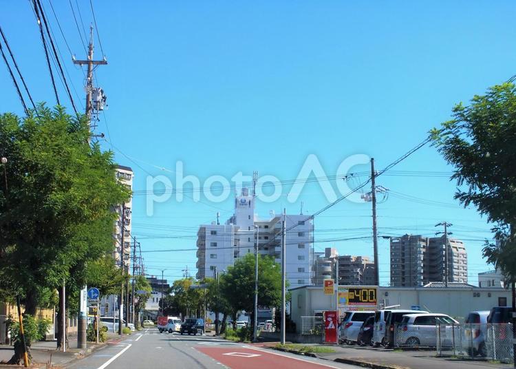 街路樹が続く駅の北口 街路樹,夏,グリーンの写真素材
