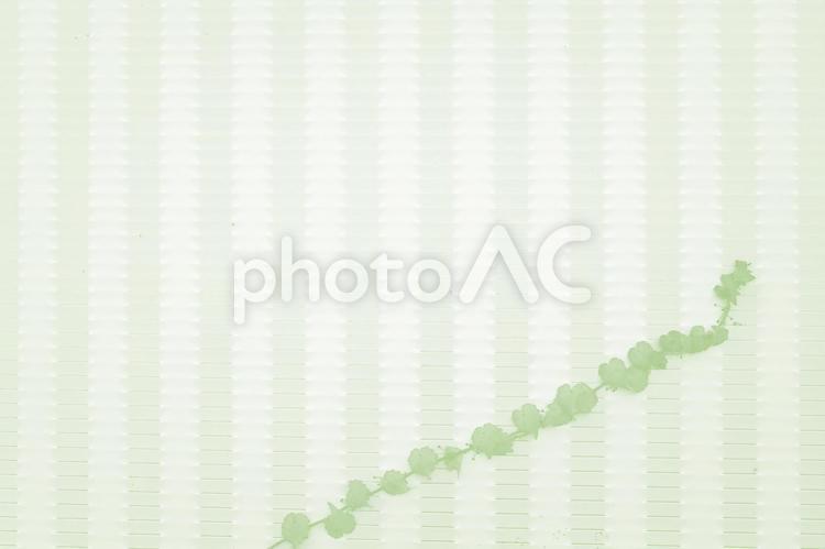 蔦の成長、便箋風 蔦,テクスチャ,ストライプの写真素材
