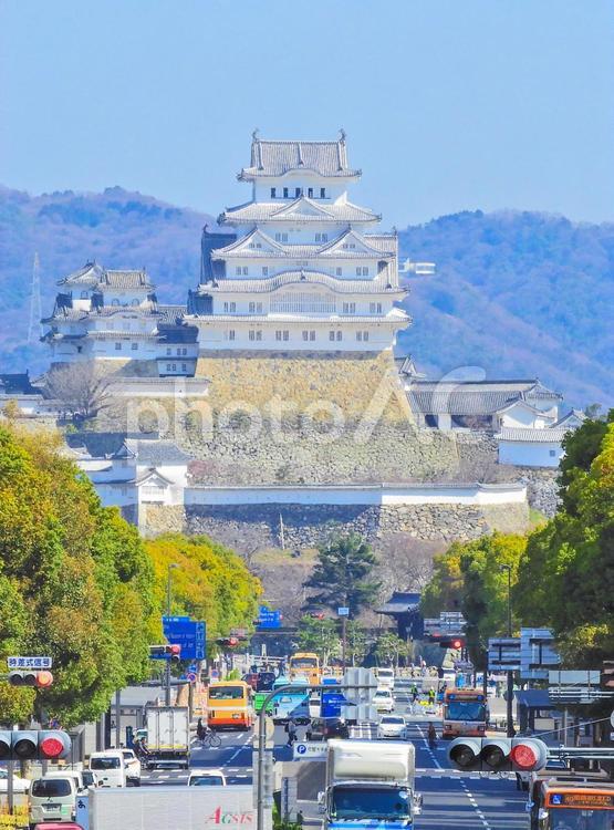 国宝 姫路城と街並み 姫路城,国宝,世界遺産の写真素材