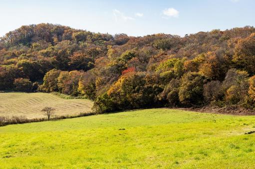 秋の蔵王高原⑵ 蔵王,秋,高原の写真素材